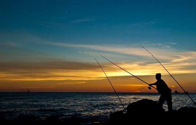 Cursos de pesca